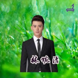 林婉清